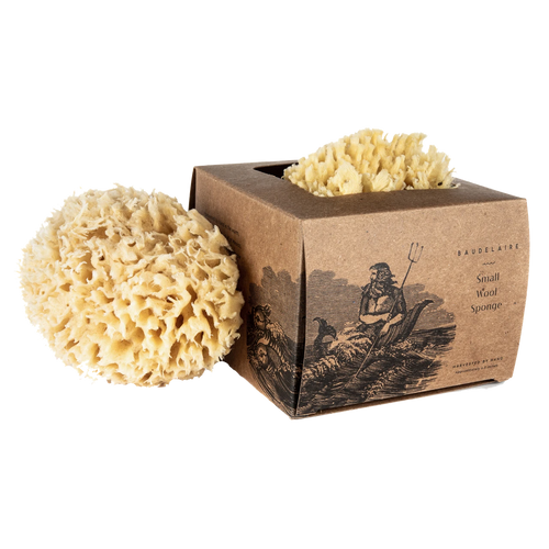 BAUDELAIRE Body Wool Sea Sponge
