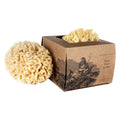 BAUDELAIRE Body Wool Sea Sponge