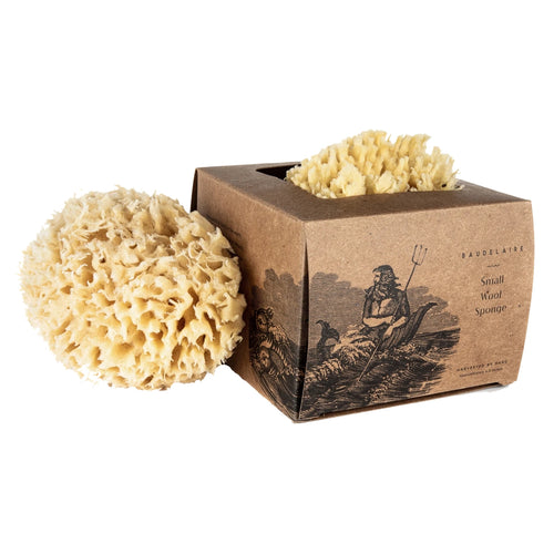 BAUDELAIRE Body Wool Sea Sponge