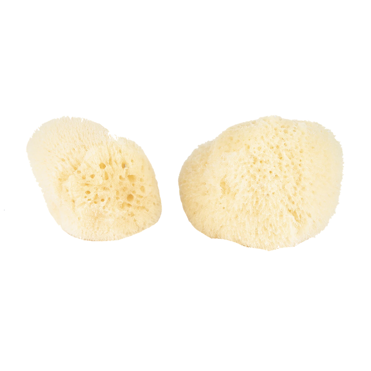 BAUDELAIRE FACIAL SILK SEA SPONGE