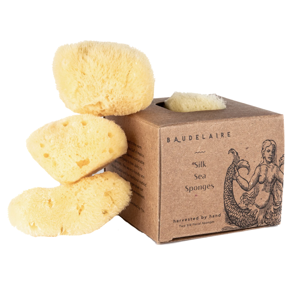 BAUDELAIRE FACIAL SILK SEA SPONGE